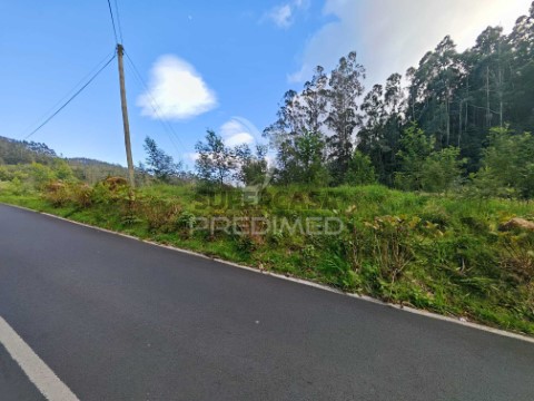 Terreno em Machico, Machico