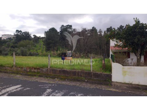 Terreno em Chamusca e Pinheiro Grande, Chamusca