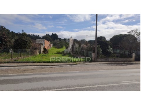Terreno em Carregueira, Chamusca