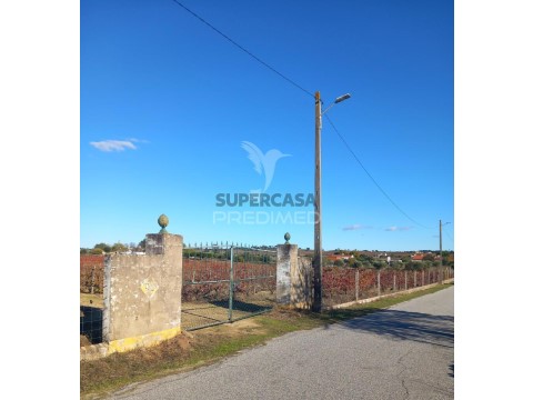 Moradia T2 em Redondo, Redondo