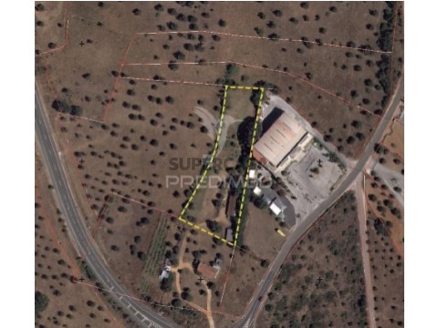 Terreno em Alcanena e Vila Moreira, Alcanena