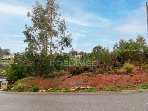 Terreno em Águeda, Águeda