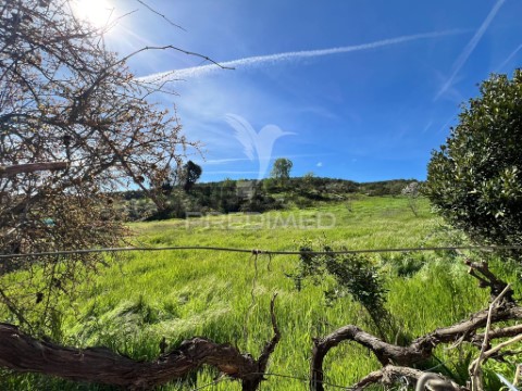 Terreno em Carvalhais, Mirandela