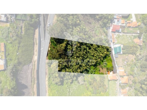 Terreno em Santo António, Funchal