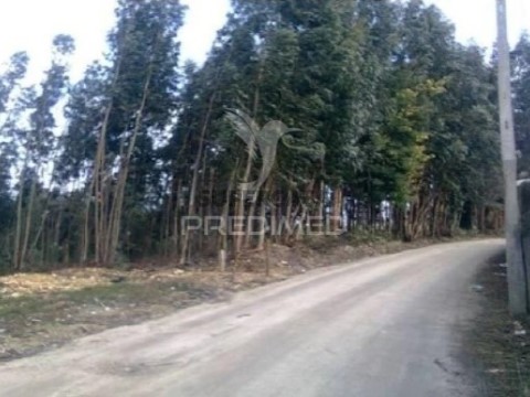 Terreno em Águeda, Águeda
