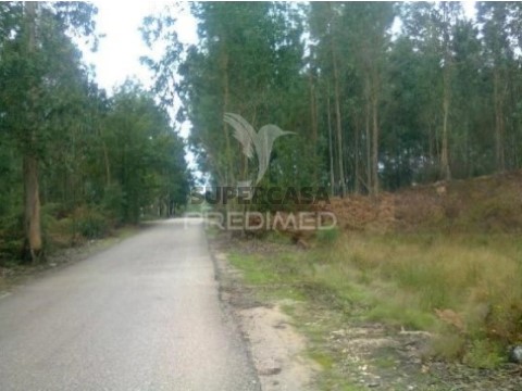 Terreno em Oliveira do Bairro, Oliveira do Bairro