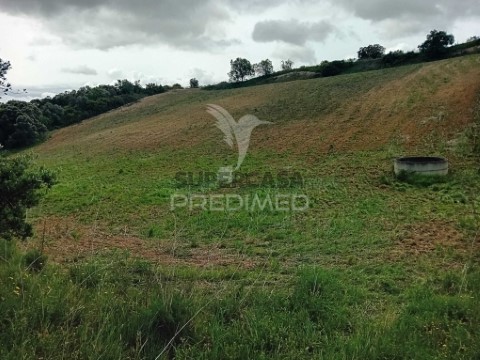 Terreno em Pernes, Santarém