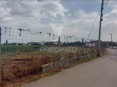 Terreno em Oiã, Oliveira do Bairro