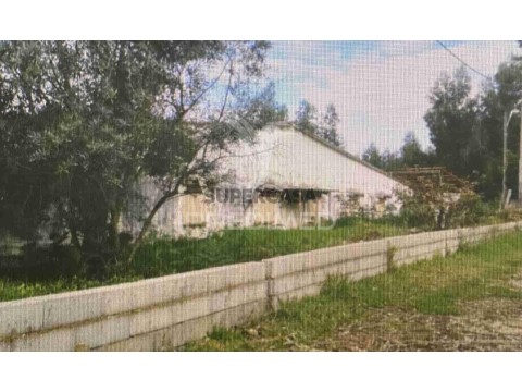 Grundstück auf Valongo do Vouga, Águeda