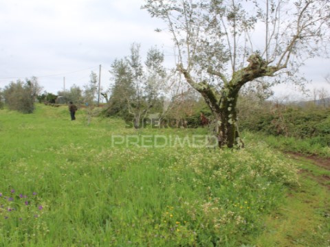 Terreno em Pussos São Pedro, Alvaiázere