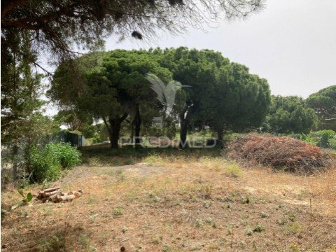 Terreno em Almancil, Loulé