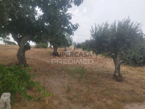 Terrain au Espírito Santo, Nossa Senhora da Graça e São Simão, Nisa