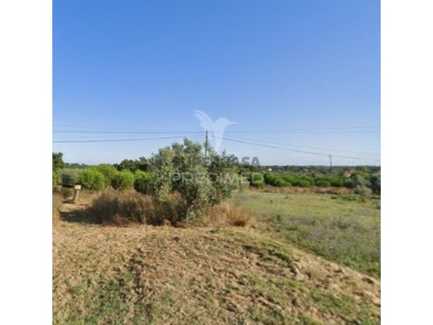 Terreno em Paialvo, Tomar