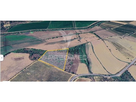 Terreno em Moçarria, Santarém