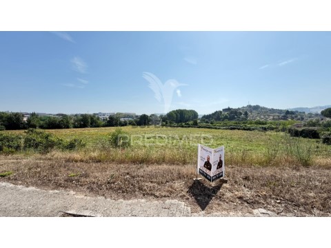 Terreno em Mirandela, Mirandela