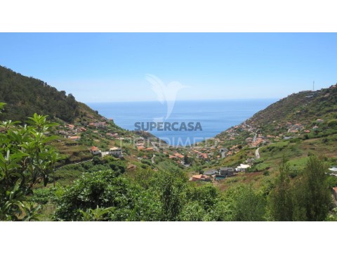 Terreno em Campanário, Ribeira Brava