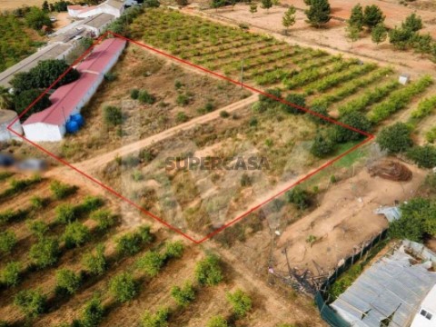 Terreno em São Bartolomeu de Messines, Silves