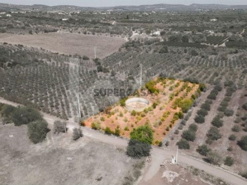 Terreno em São Bartolomeu de Messines, Silves
