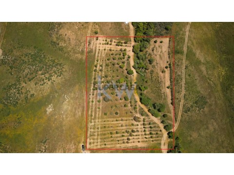 Terreno em Budens, Vila do Bispo