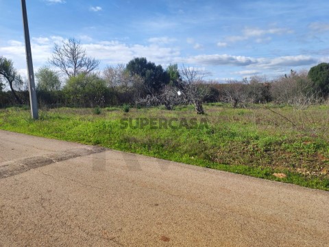 Terreno em São Bartolomeu de Messines, Silves