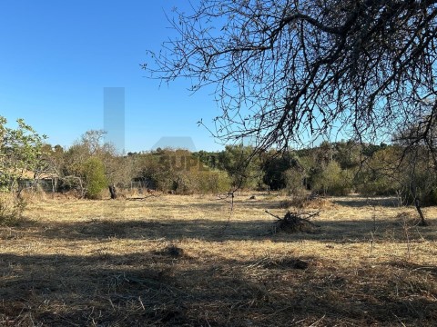 Terreno em Algoz, Silves