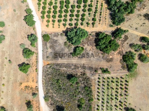 Terreno em Silves, Silves
