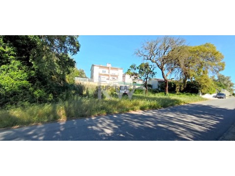 Terreno em Recardães e Espinhel, Águeda