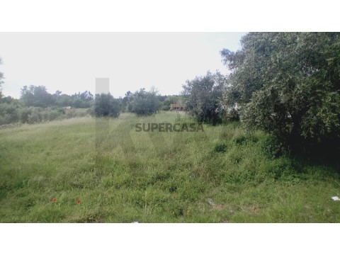 Terreno em Tapéus, Soure