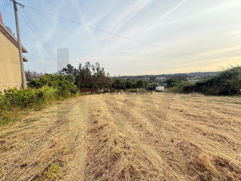 Terreno em Valongo do Vouga, Águeda