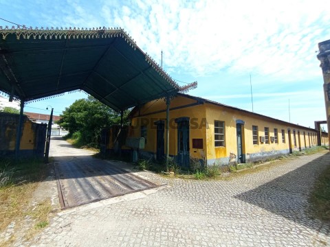 Quinta T5 em Soure, Soure