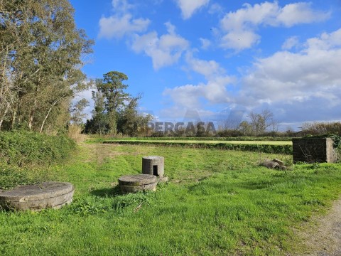 Terreno em São João do Campo, Coimbra