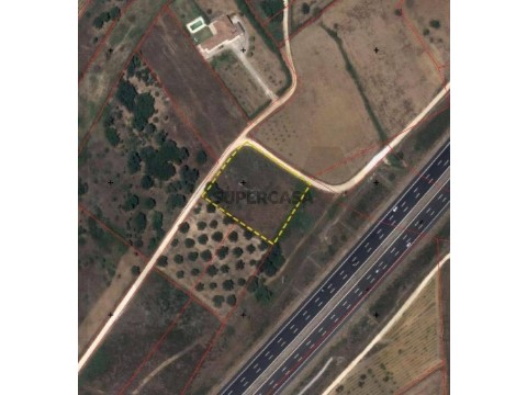 Terreno em Almoster, Santarém