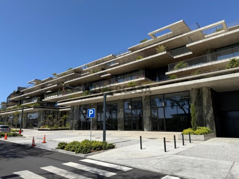 商业的 在 São Martinho, Funchal
