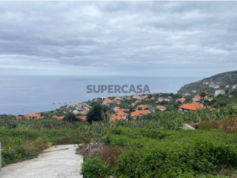 Terreno em Arco da Calheta, Calheta (Madeira)
