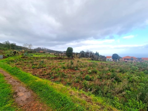Terreno em Porto Moniz, Porto Moniz