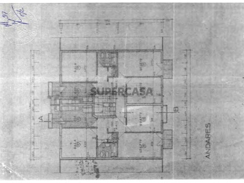 planta-1