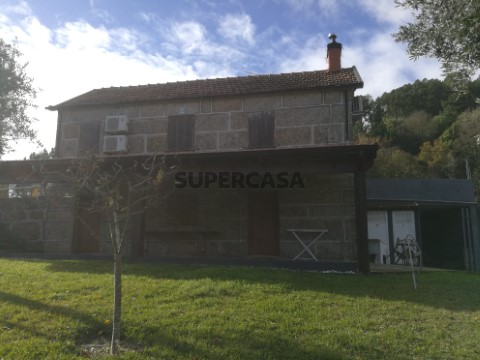 Foto_1