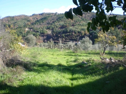 Terreno em Teixoso e Sarzedo, Covilhã
