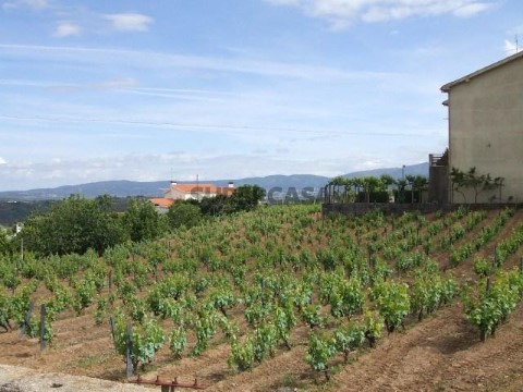 Terreno em Tortosendo, Covilhã