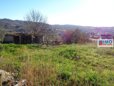 Terreno em Teixoso e Sarzedo, Covilhã
