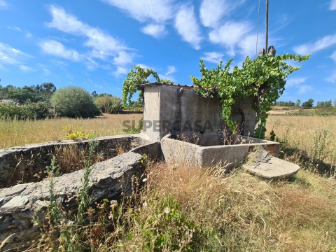 Quinta T0 em Benquerenças, Castelo Branco