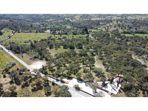 Quinta T0 em Póvoa de Rio de Moinhos e Cafede, Castelo Branco