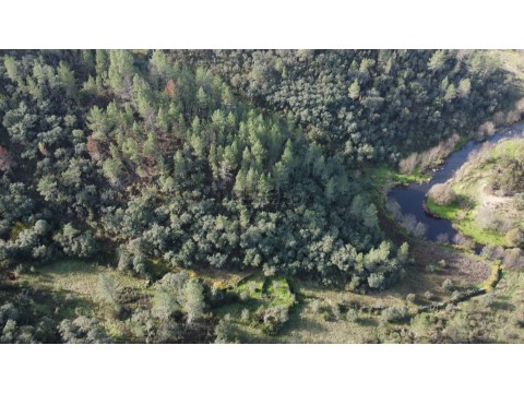 Terreno em Castelo Branco, Castelo Branco