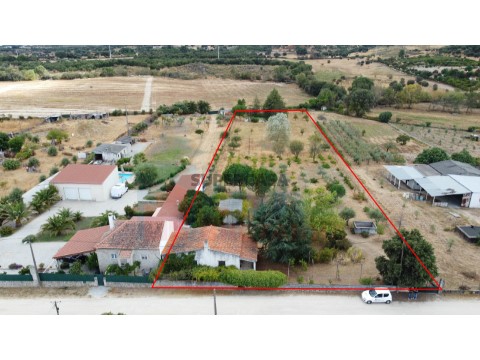 Terreno em Castelo Branco, Castelo Branco
