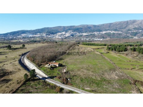 Terreno