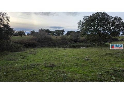 Terreno em Idanha-a-Nova e Alcafozes, Idanha-a-Nova