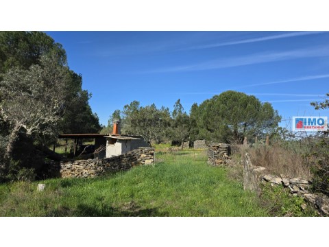 Terreno