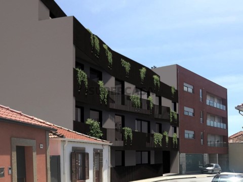 las palmeras