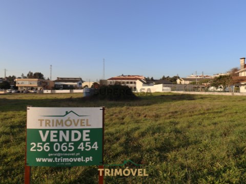 Terreno em Loureiro, Oliveira de Azeméis