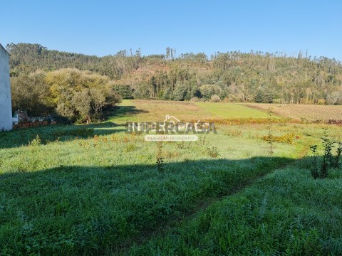 Terreno em Macinhata do Vouga, Águeda